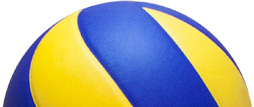 Playr Volley Teams